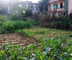 land for sale in Nagarjun, sitapaila - Image 1/5