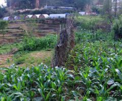 land for sale in Nagarjun, sitapaila - Image 3/5