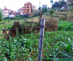 land for sale in Nagarjun, sitapaila - Image 4/5