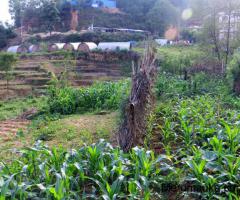 land for sale in Nagarjun, sitapaila - Image 5/5