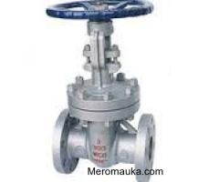 GATE VALVES DEALERS IN KOLKATA