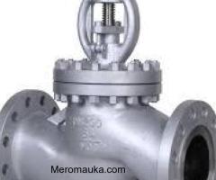 GLOBE VALVES IN KOLKATA